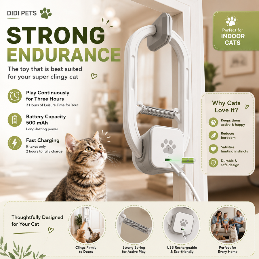 Interactive Door Hanging Cat Teaser Toy for Cats