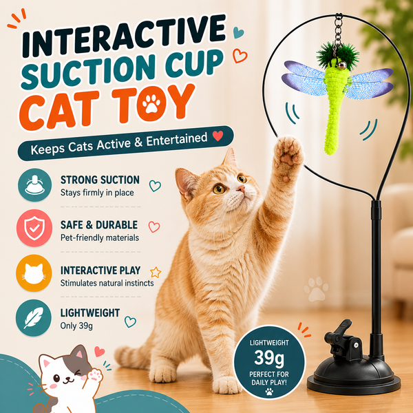 Interactive Suction Cup Cat Toy